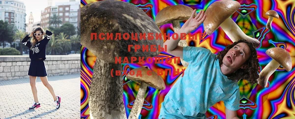 гидра Алзамай