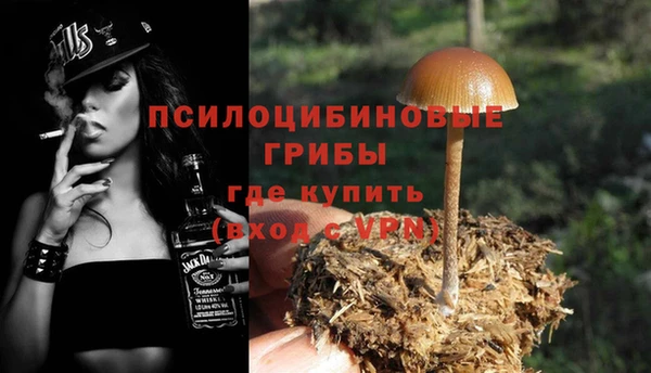 кристаллы Мегион