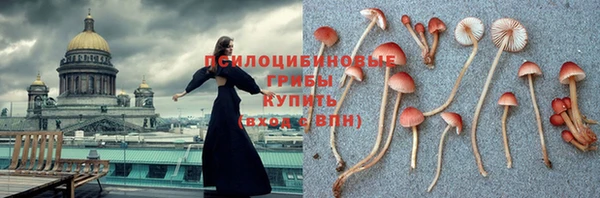 ешки Алексеевка
