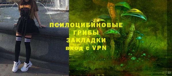 ешки Алексеевка
